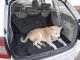 Deka ochranná pro psa do kufru auta i na sedačky