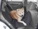 Deka ochranná pro psa do kufru auta i na sedačky